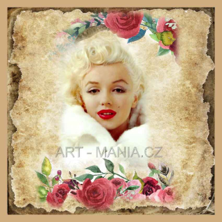 223596A SATÉNOVÝ BAVLNĚNÝ PANEL digitální tisk, velikost 28x28m, gramáž 170g/m2