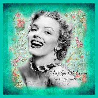 223599A SATÉNOVÝ BAVLNĚNÝ PANEL digitální tisk, velikost 23x23m, gramáž 170g/m2